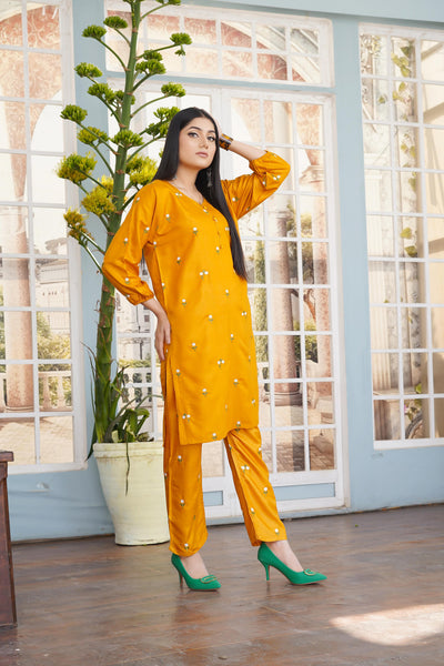 2 pieces Punjabi Kuri Pant